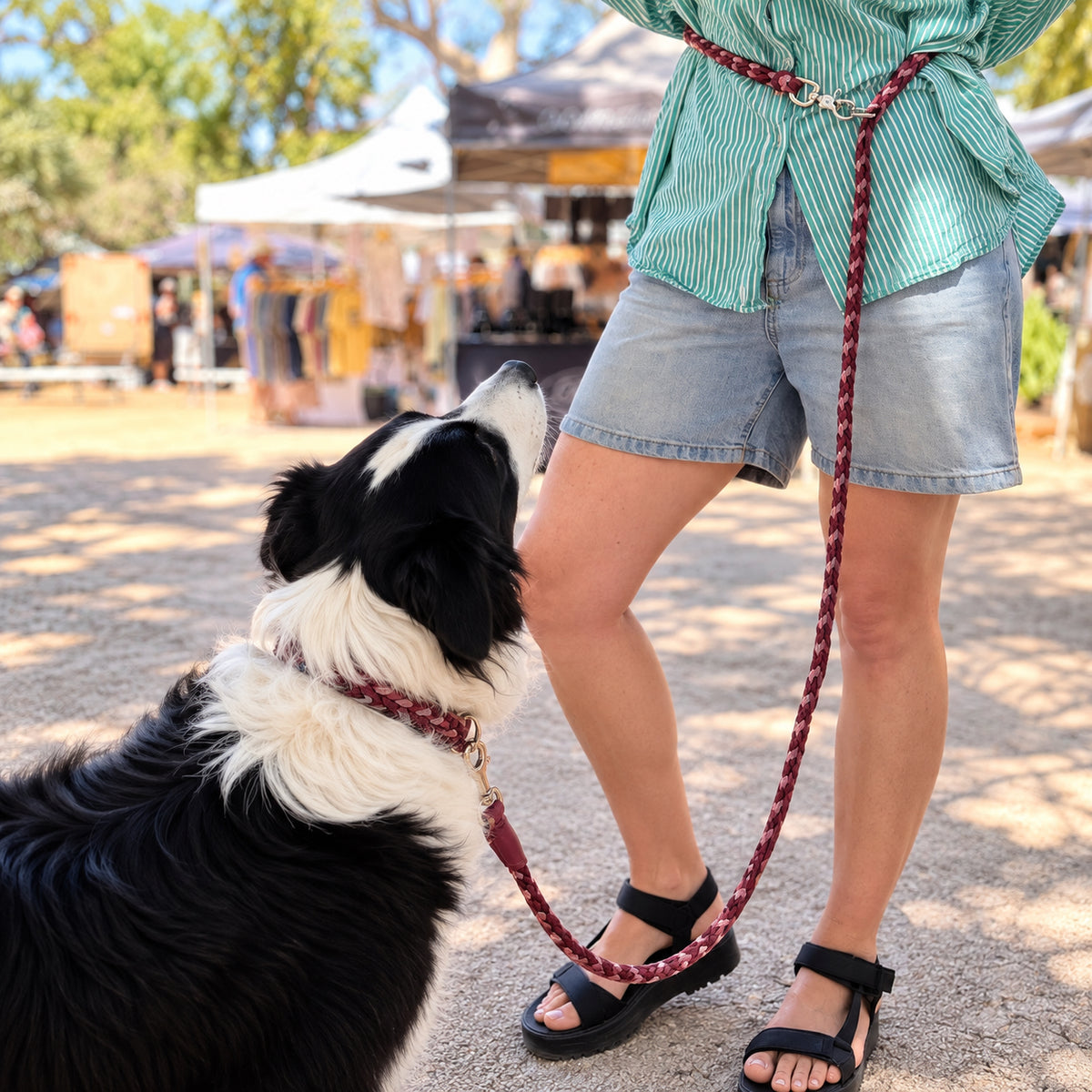 Tanami Paracord Dog Lead