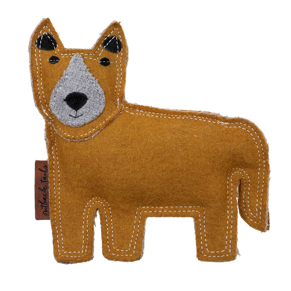 Darren the Dingo