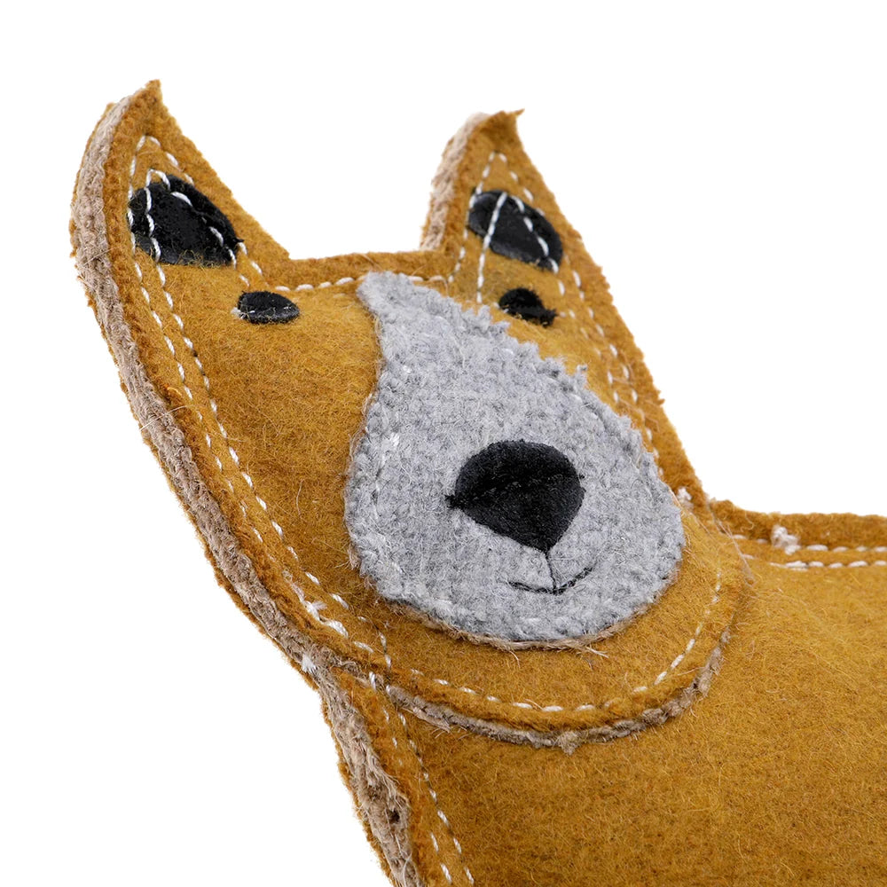 Darren the Dingo