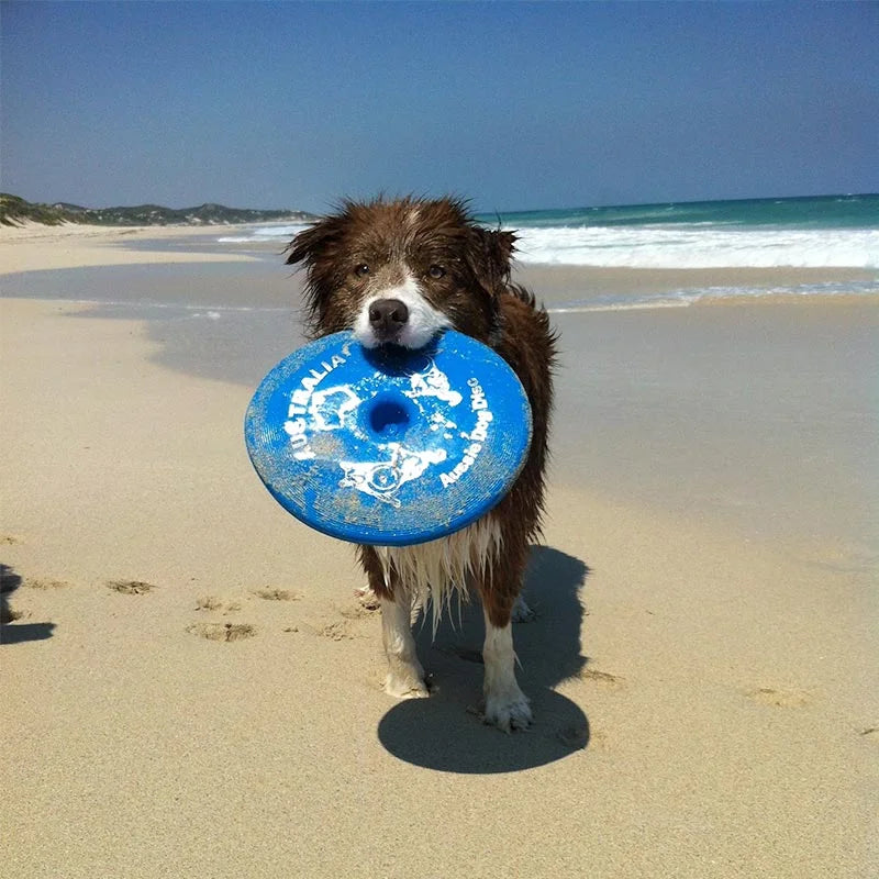 Fly It Blue