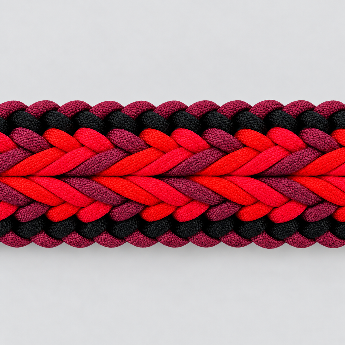 Gibb Paracord Dog Collar
