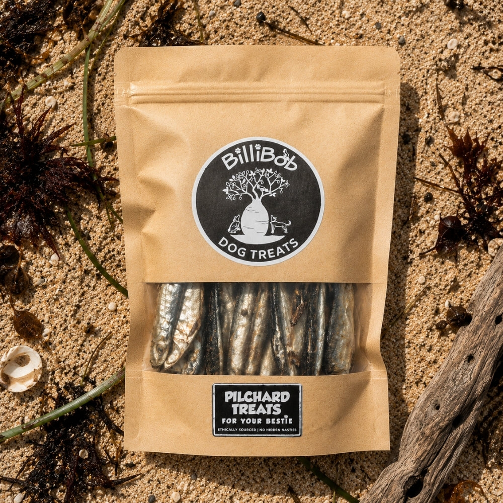 Pilchard Treats