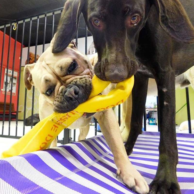 Pull It Large