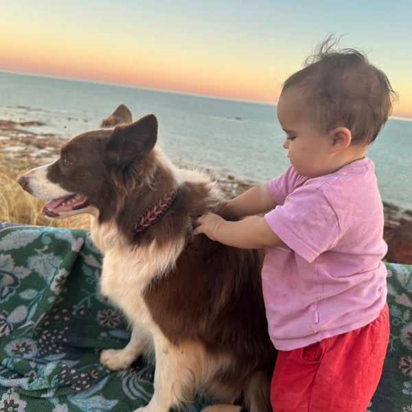 A toddler in a pink shirt and red shorts stands beside a brown and white dog on a patterned blanket by the ocean at sunset.