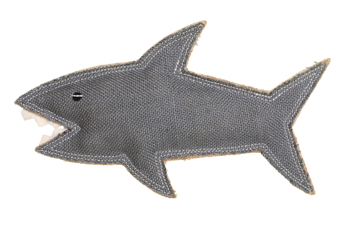 Shazza the Shark