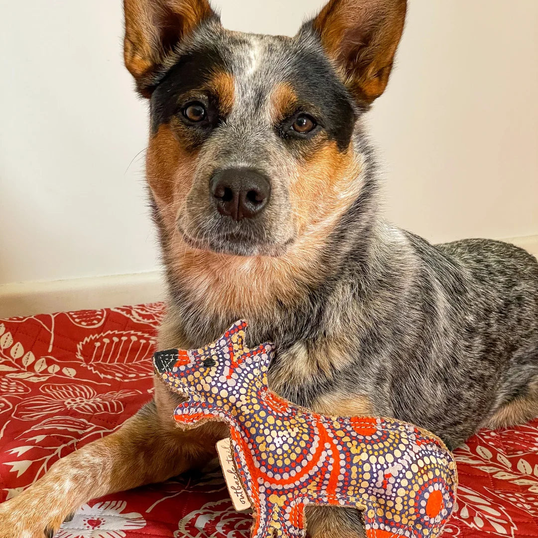 Trevor the Desert Dog