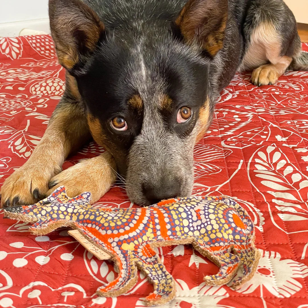 Trevor the Desert Dog